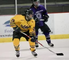 m.michaelson2010 playoff