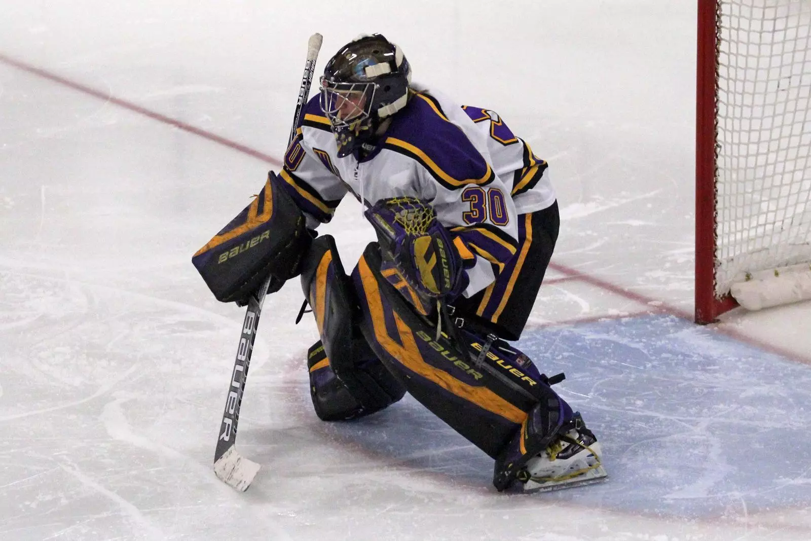 Hockey comeback not enough in 3-2 loss to Gustavus