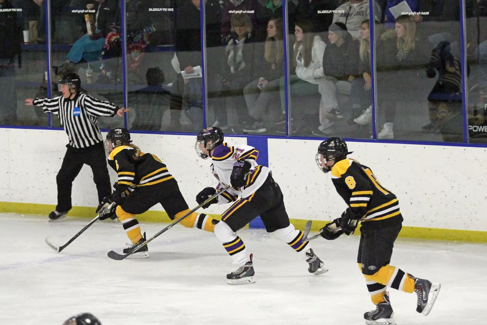 Hockey falls in season opener to No. 9 Lake Forest