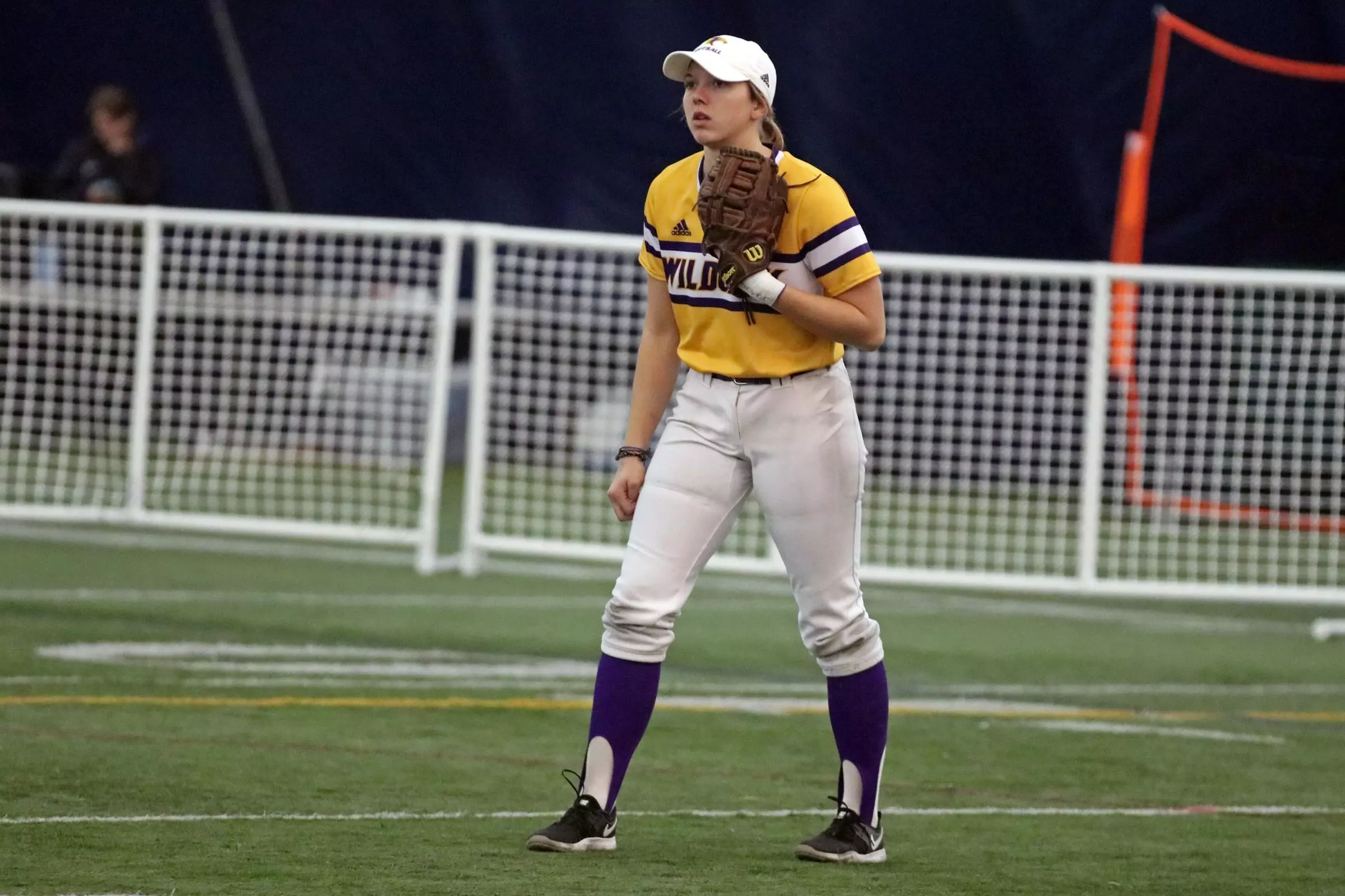 Softball drops two on final day in Arizona