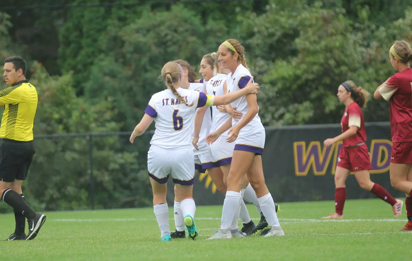 Campbell and Witte