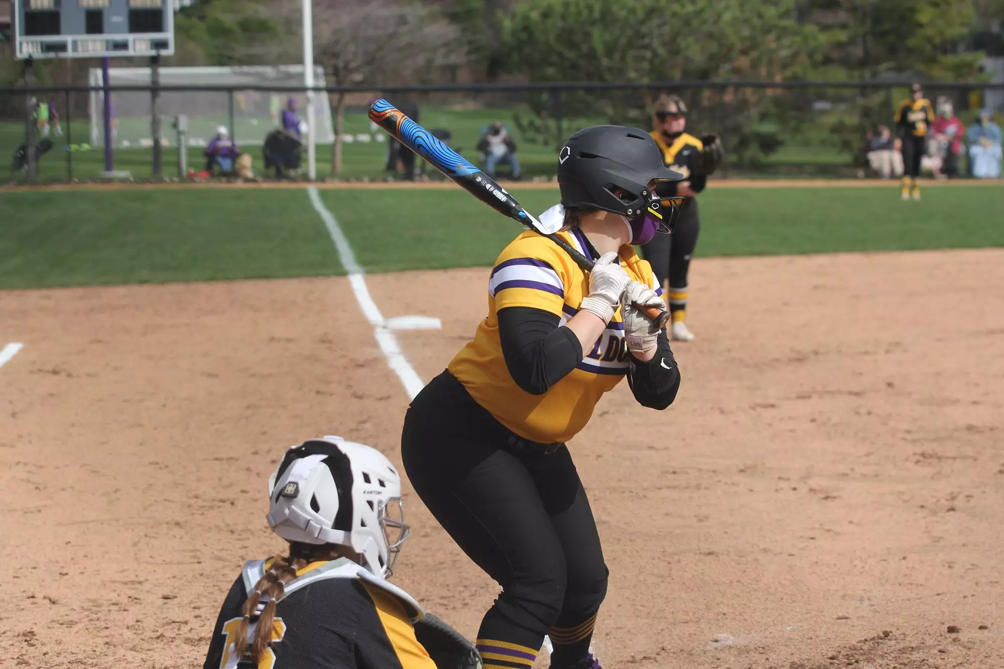 Kaitlin Boyles at bat against Gustavus