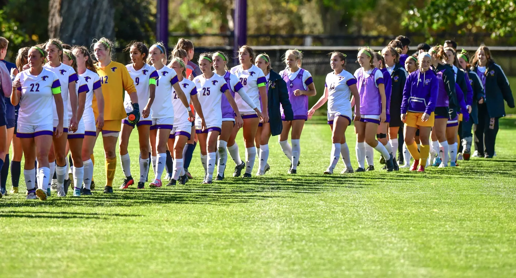 Soccer hand shake
