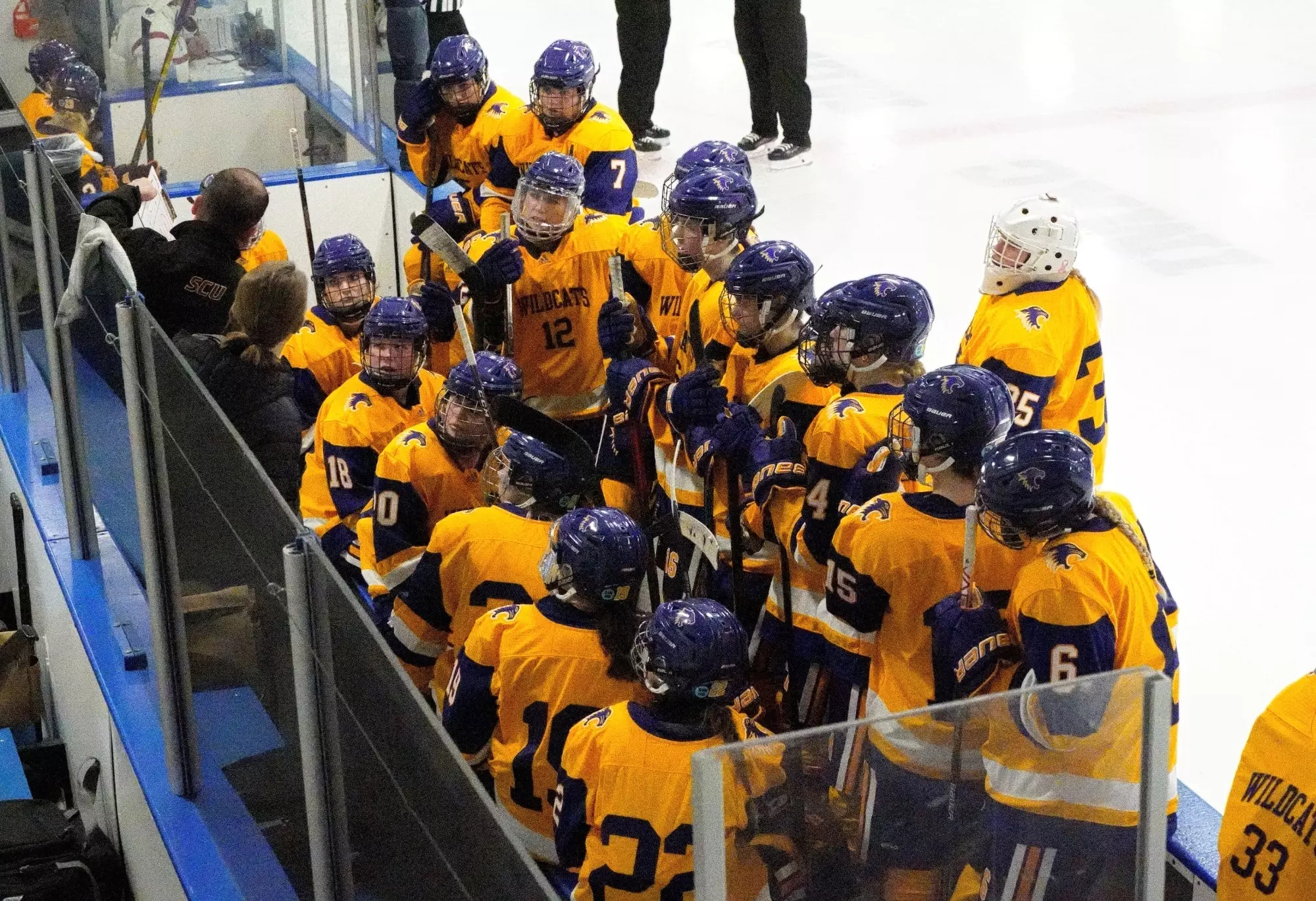 Hockey Team on Bench