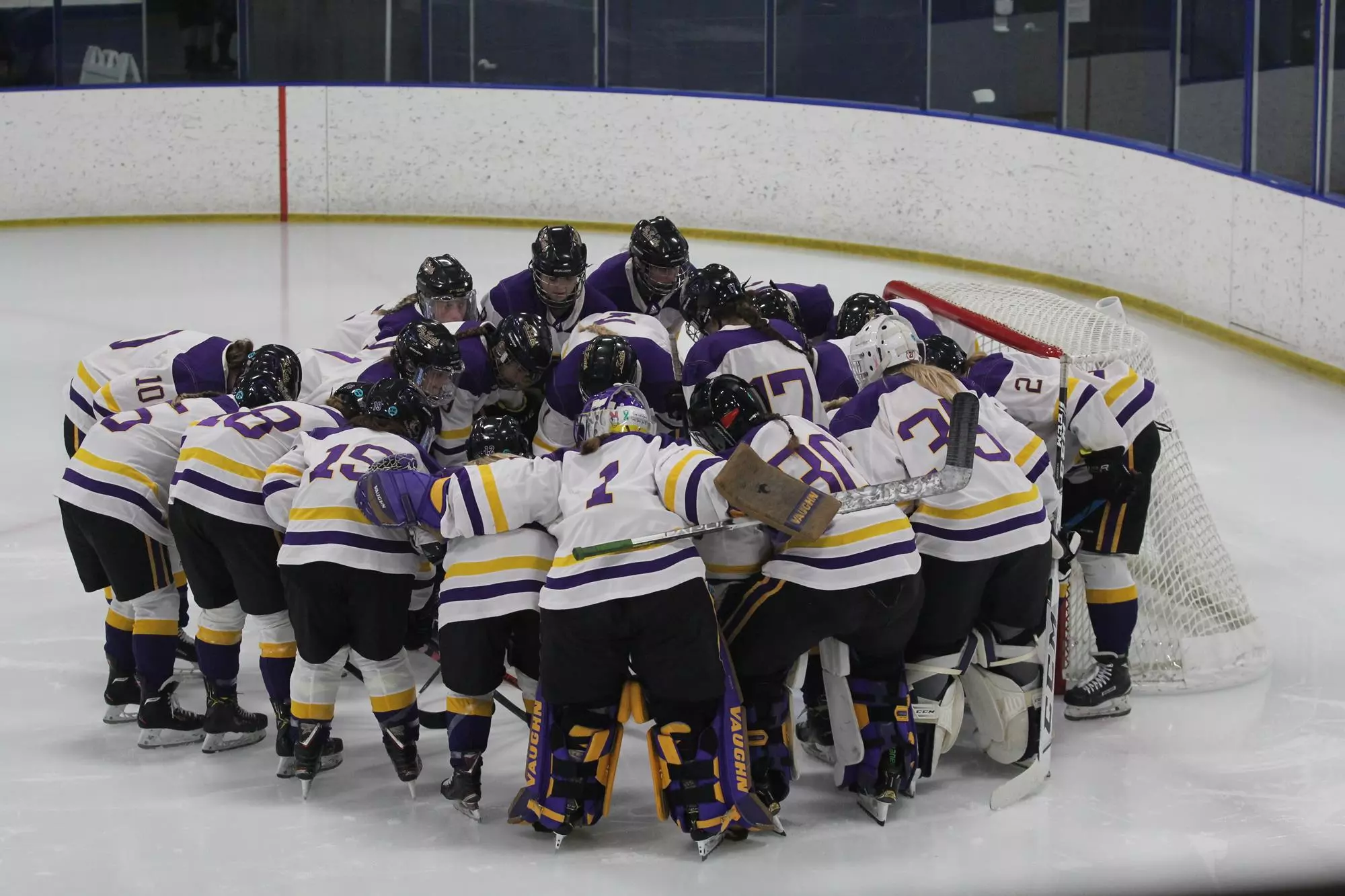 wildcat hockey team huddle around net