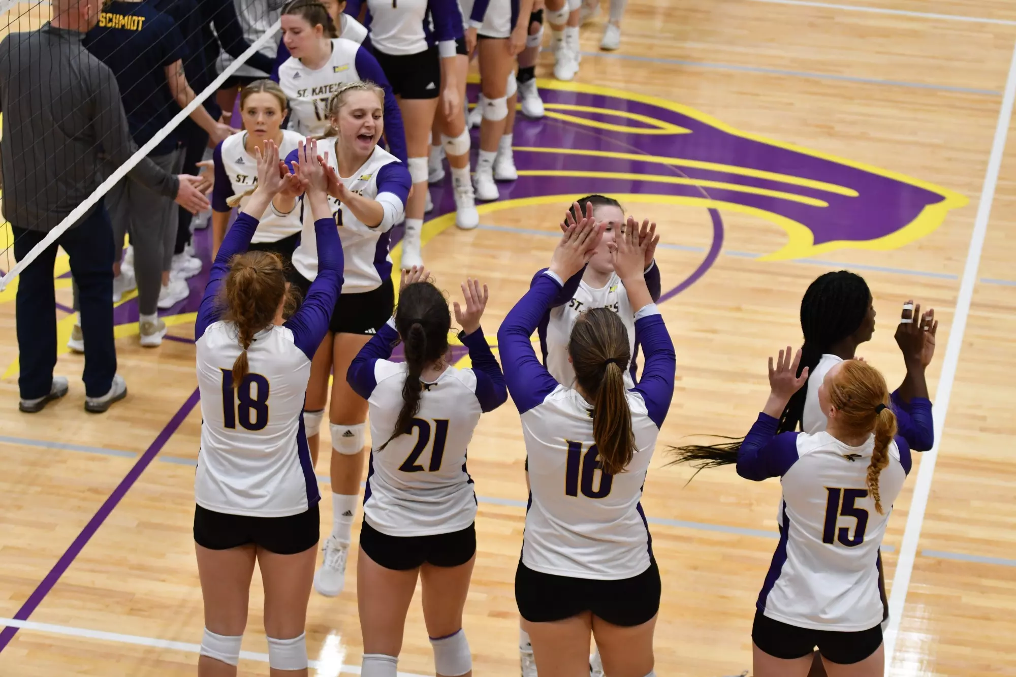 Volleyball Celebration