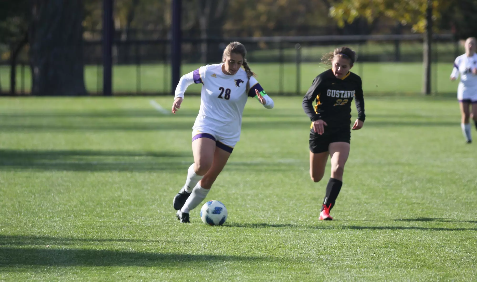 Lauren Witte