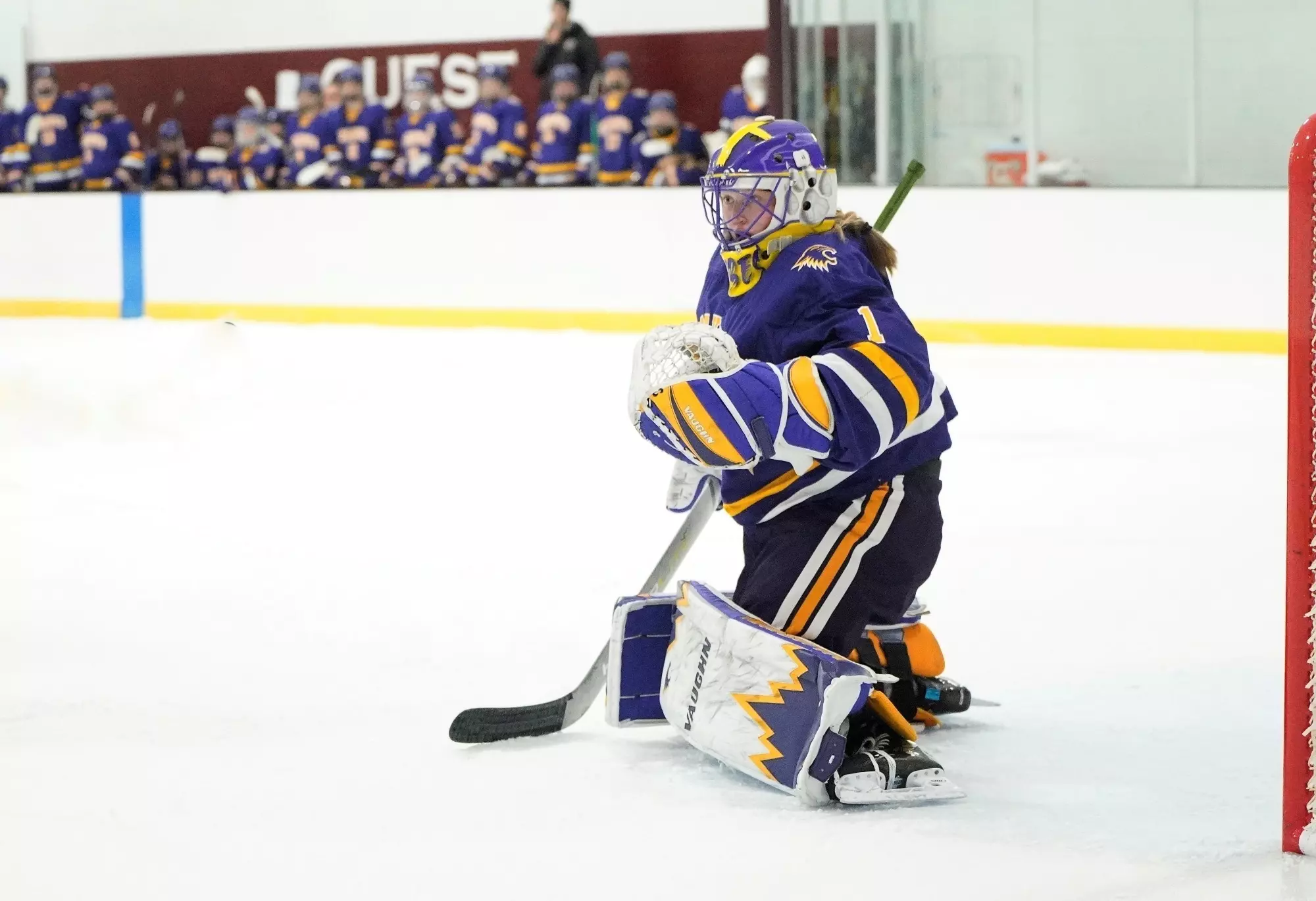 Kubicek at Hamline