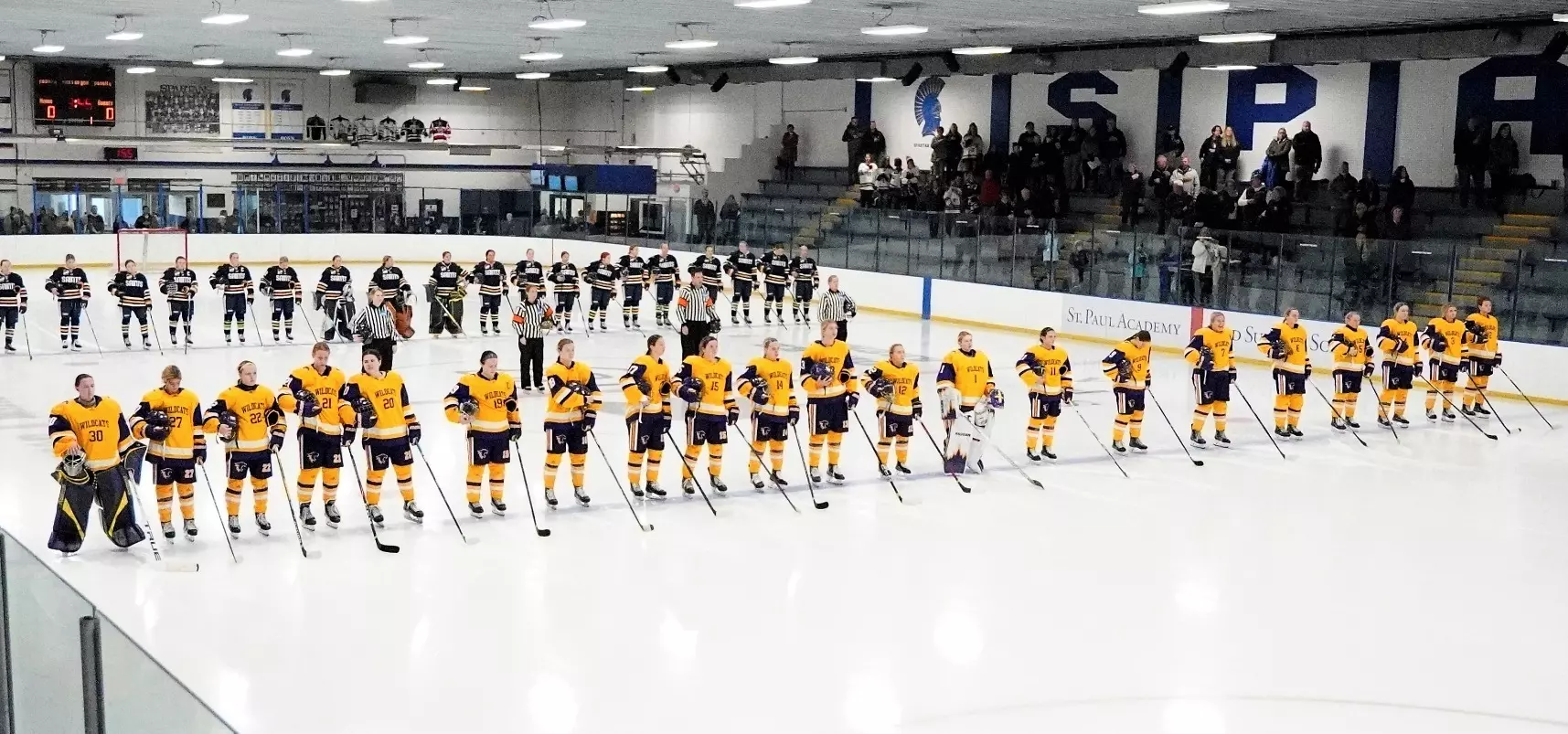 Hockey team at drake arena