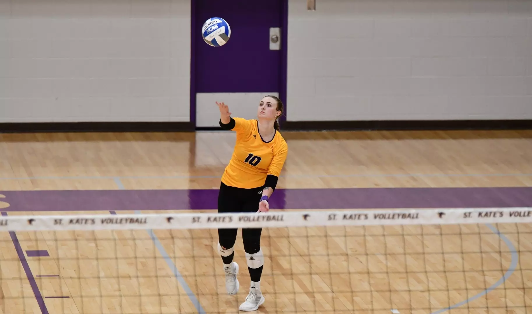 claire segner serving the volleyball
