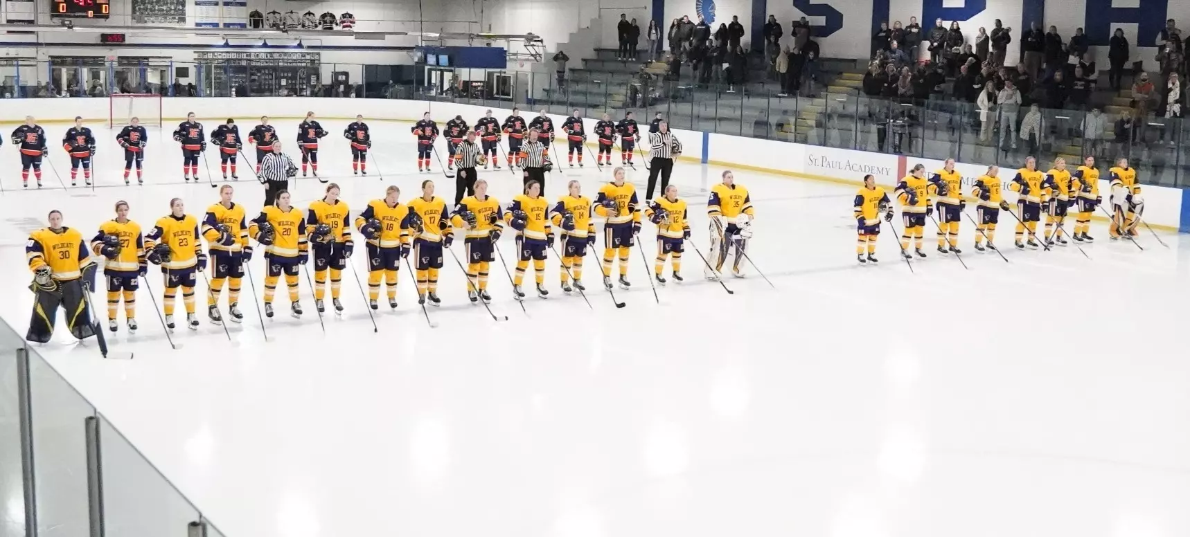 Hockey team on blue line at Drake Arena