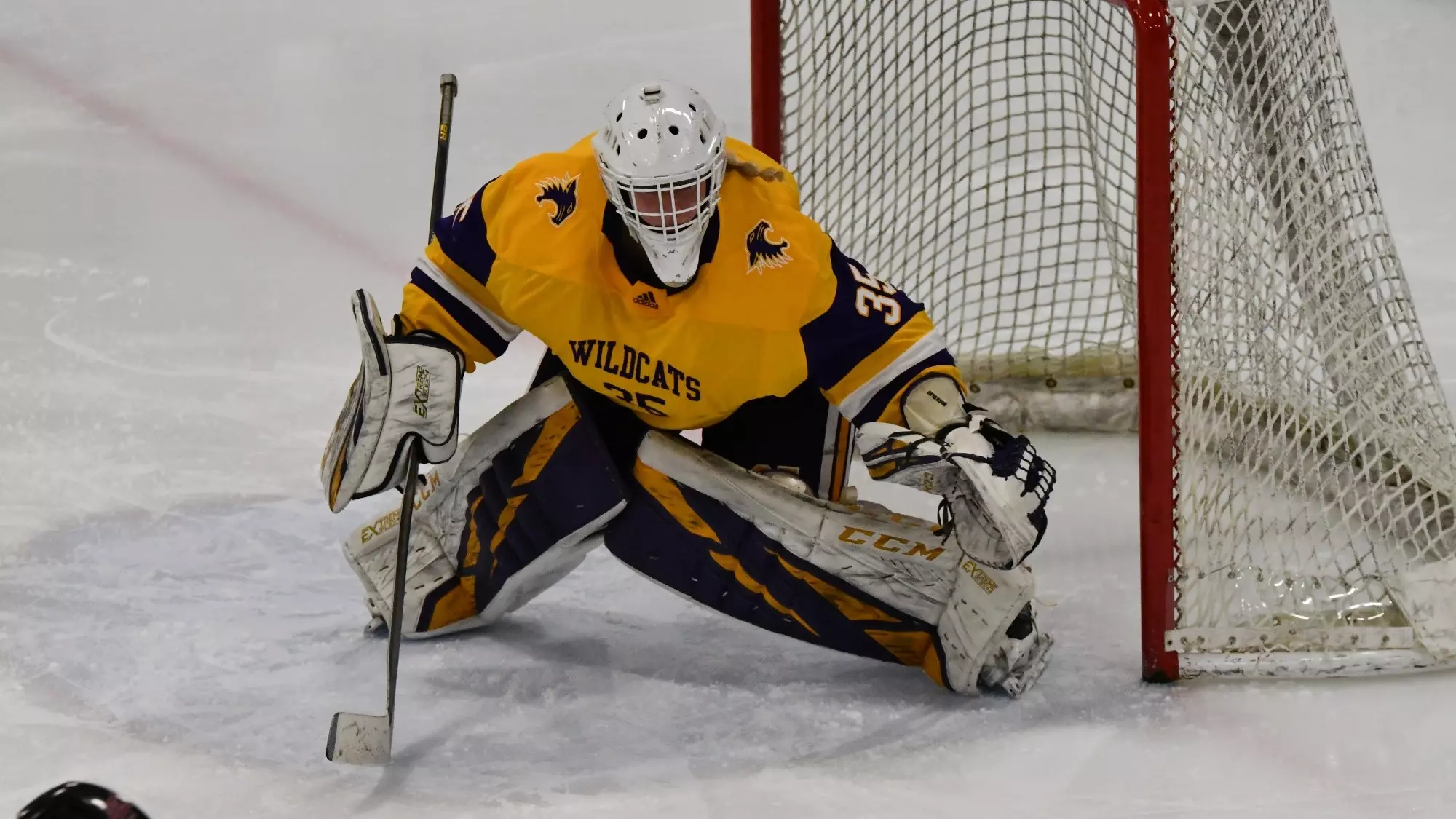 Abby Severson in net