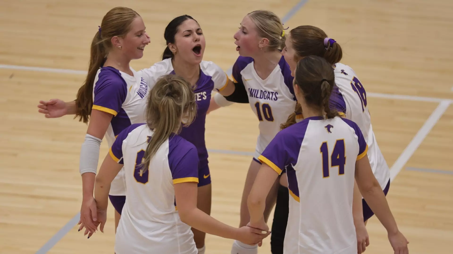 team celebration