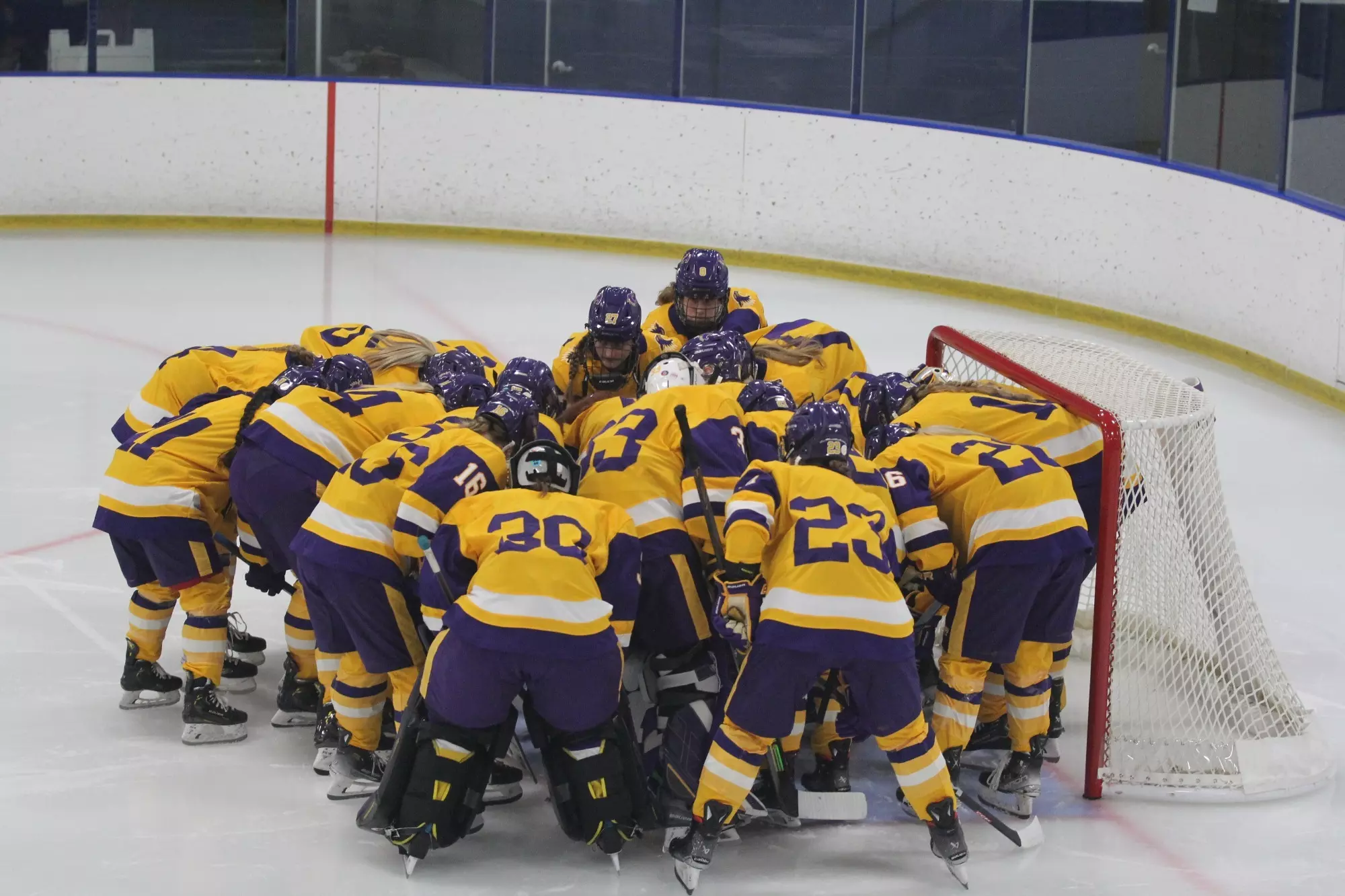 Hockey team huddling around the net